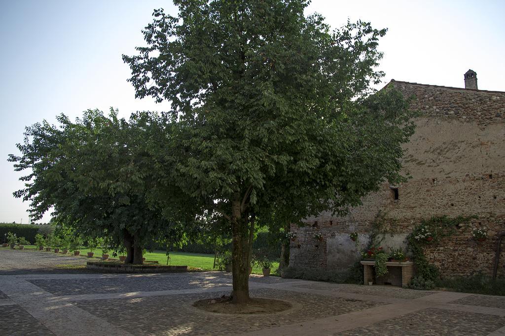 La Corte Di Anna Agriturismo San Giovanni Lupatoto Zewnętrze zdjęcie