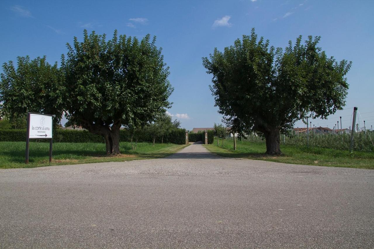 La Corte Di Anna Agriturismo San Giovanni Lupatoto Zewnętrze zdjęcie